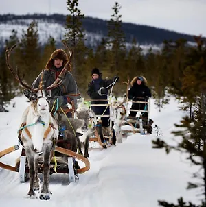 Reindeer Lodge Jukkasjärvi Exterior photo